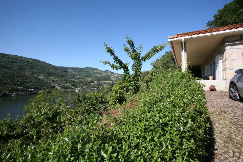 Douro Valley - Casa Do Campo Resende Covelas  Dış mekan fotoğraf